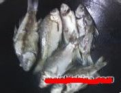 秘制浓汤鲫鱼