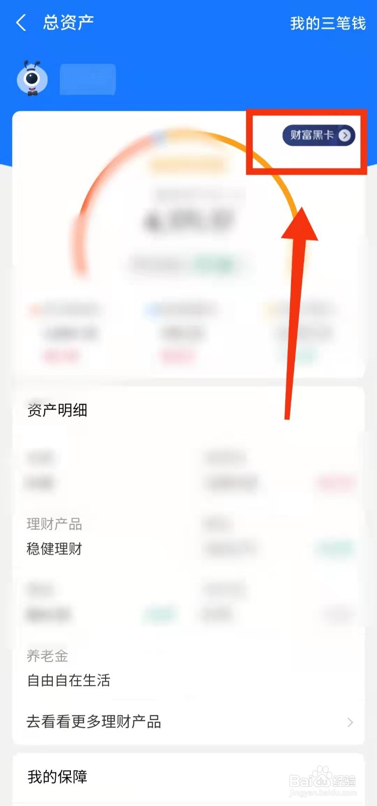 怎样查看支付宝财富黑卡的“全部特权”