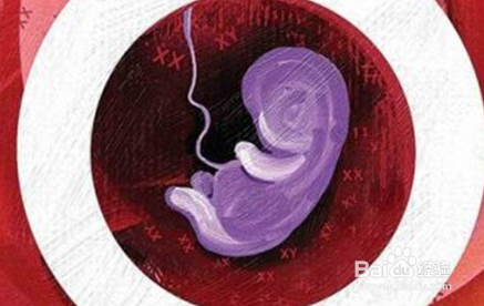 丰富的海鲜饮食可能会增加你的怀孕的机会