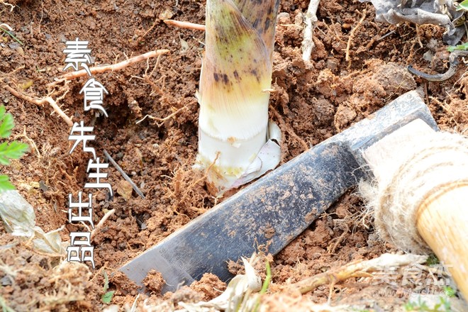 雷笋竟然还能这样吃连国宝都看不下去了