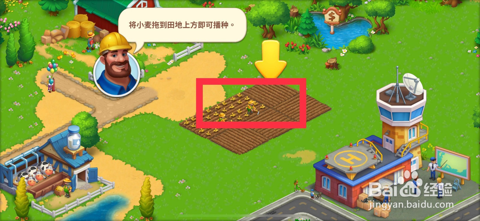 梦想城镇小麦如何种植