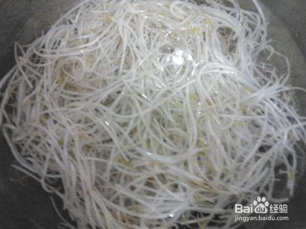 怎么做绿豆芽炒肉丝儿