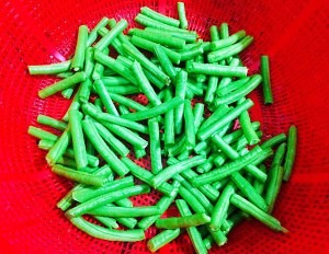 家庭版茄子豆角