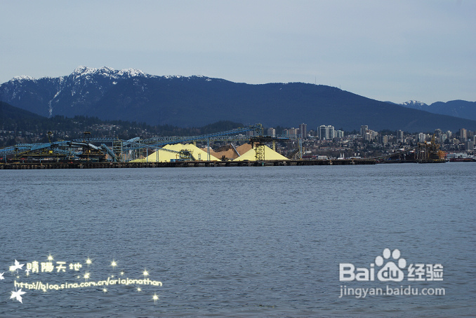 拾海的孩子&亲亲小动物(组图)