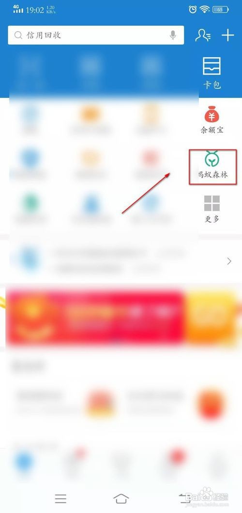 怎么关闭支付宝蚂蚁森林的能量可收取提醒