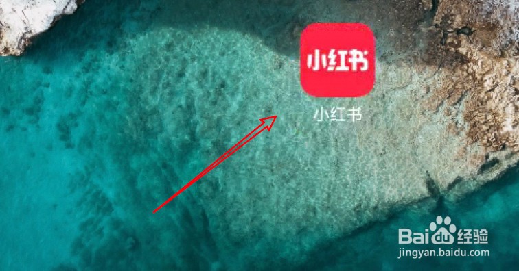 小红书在哪里进行实名认证