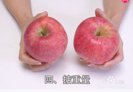 如何挑选苹果才会水分多又甜？