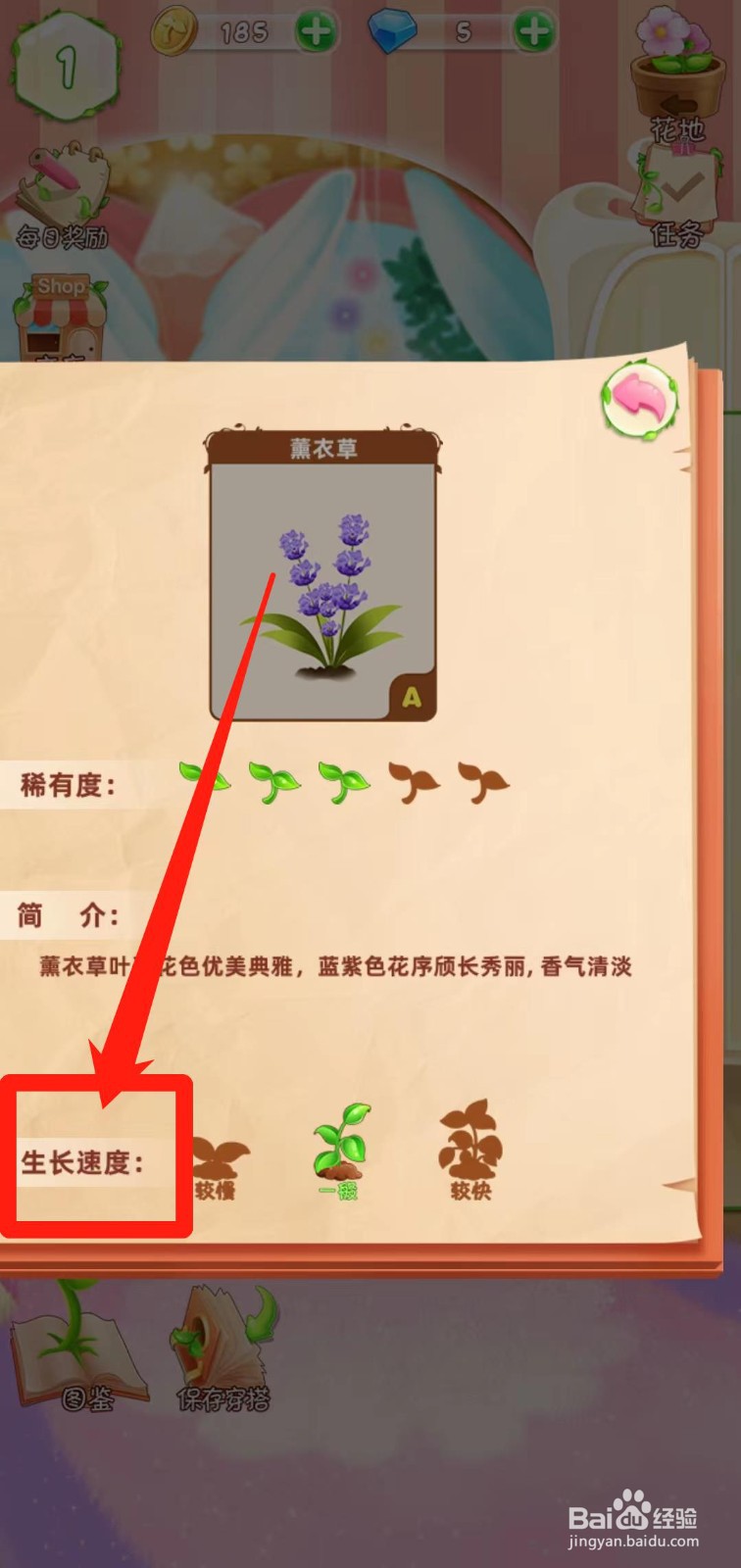 花花姑娘之魔法花园如何查看薰衣草生长速度