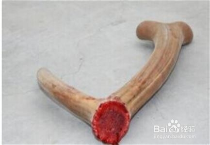 秋冬进补各类常见中药的药性