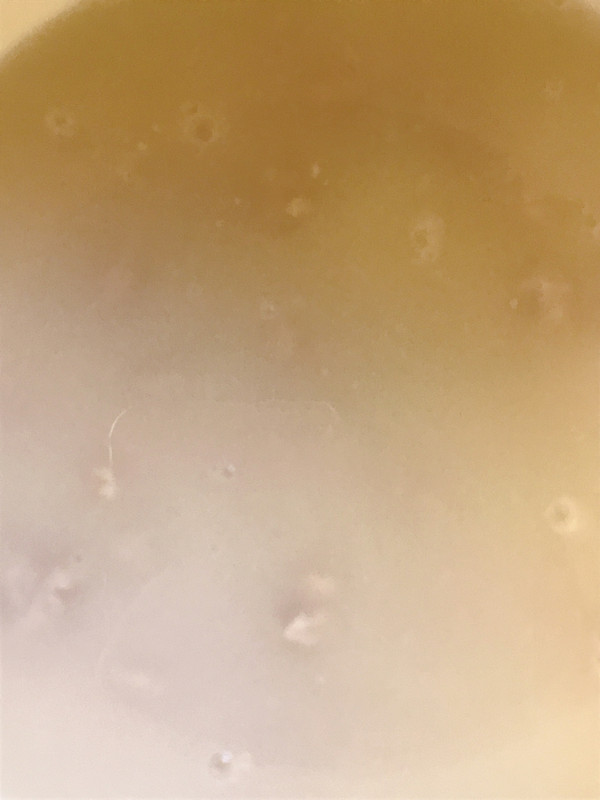 全麦玫瑰花馒头