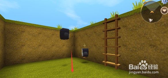 迷你世界企鹅怎么饲养