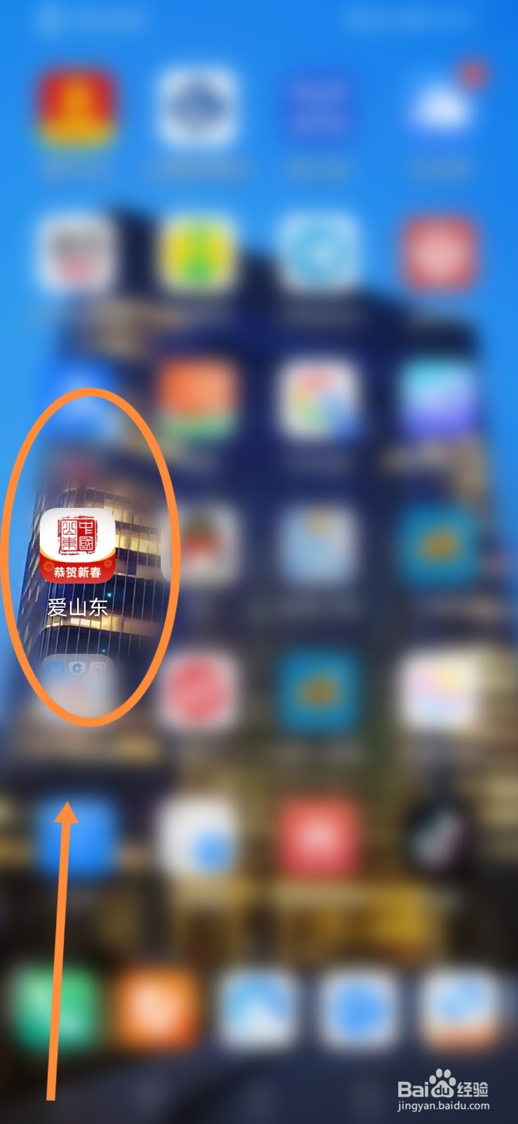 爱山东怎么进行自考成绩查询