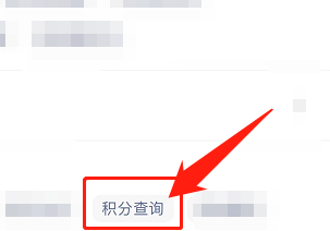 赫莲娜怎么查积分