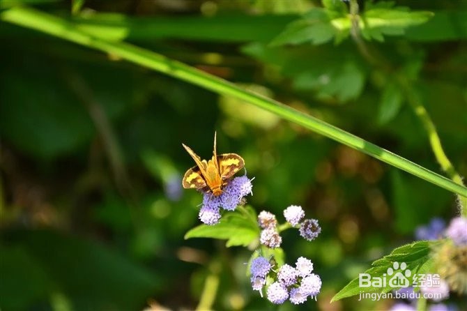 秋天出去旅游需要注意哪些问题
