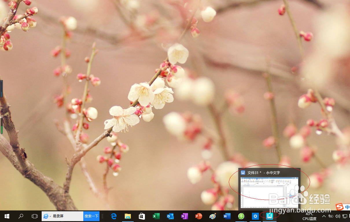 永中office 2019文字处理隐藏文档结构图