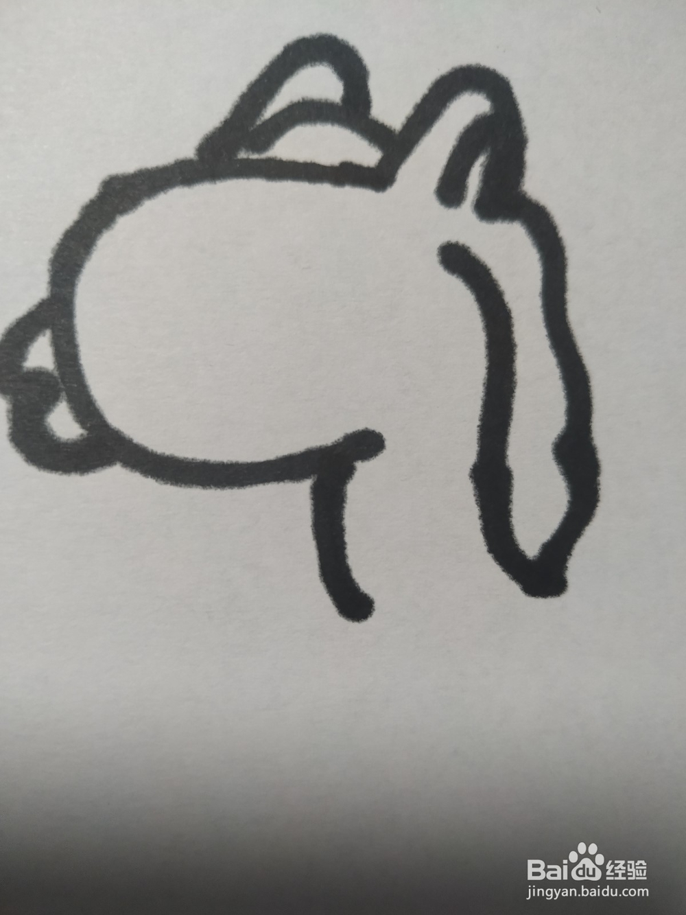 毛驴的简笔画技法11