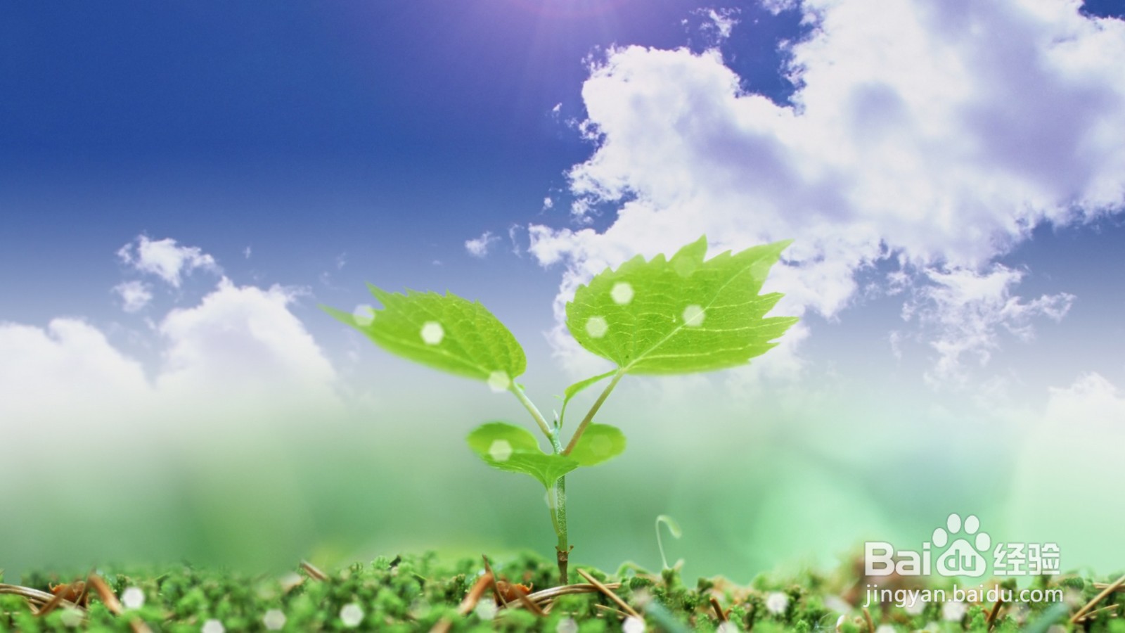 .如何预防新型冠状病毒感染？