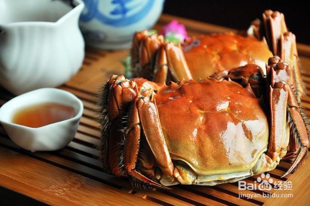 慢游江南水乡，阳澄湖边吃正宗大闸蟹！