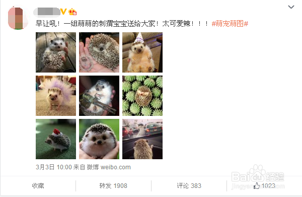 怎么写出一条高转发的图文微博