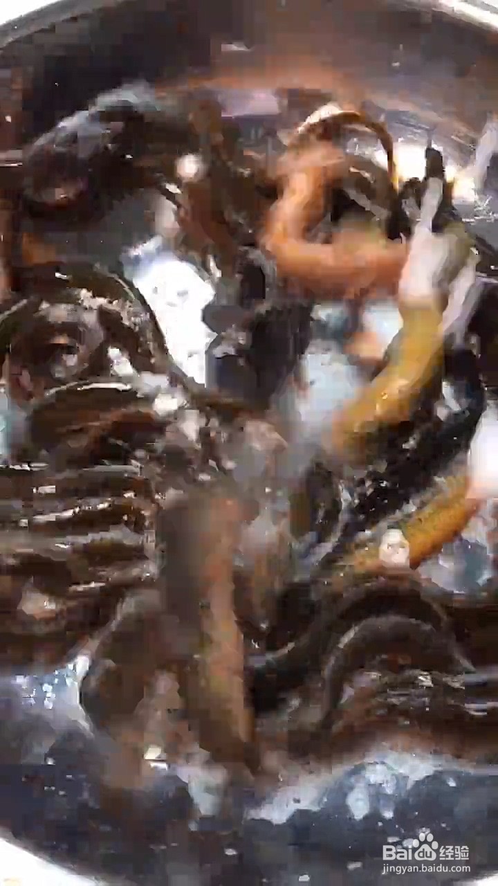 泥鳅怎么做？