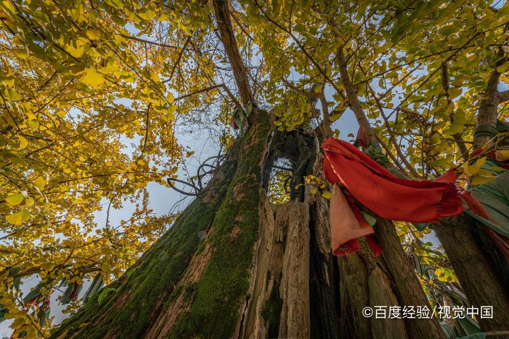 溧水有什么好玩的景点