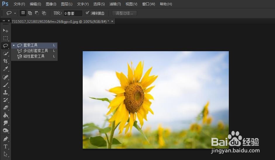 PS如何使用套索工具抠图