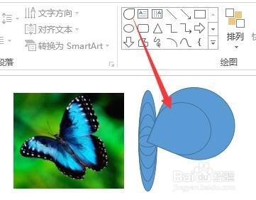 PPT简笔画之美丽蝴蝶