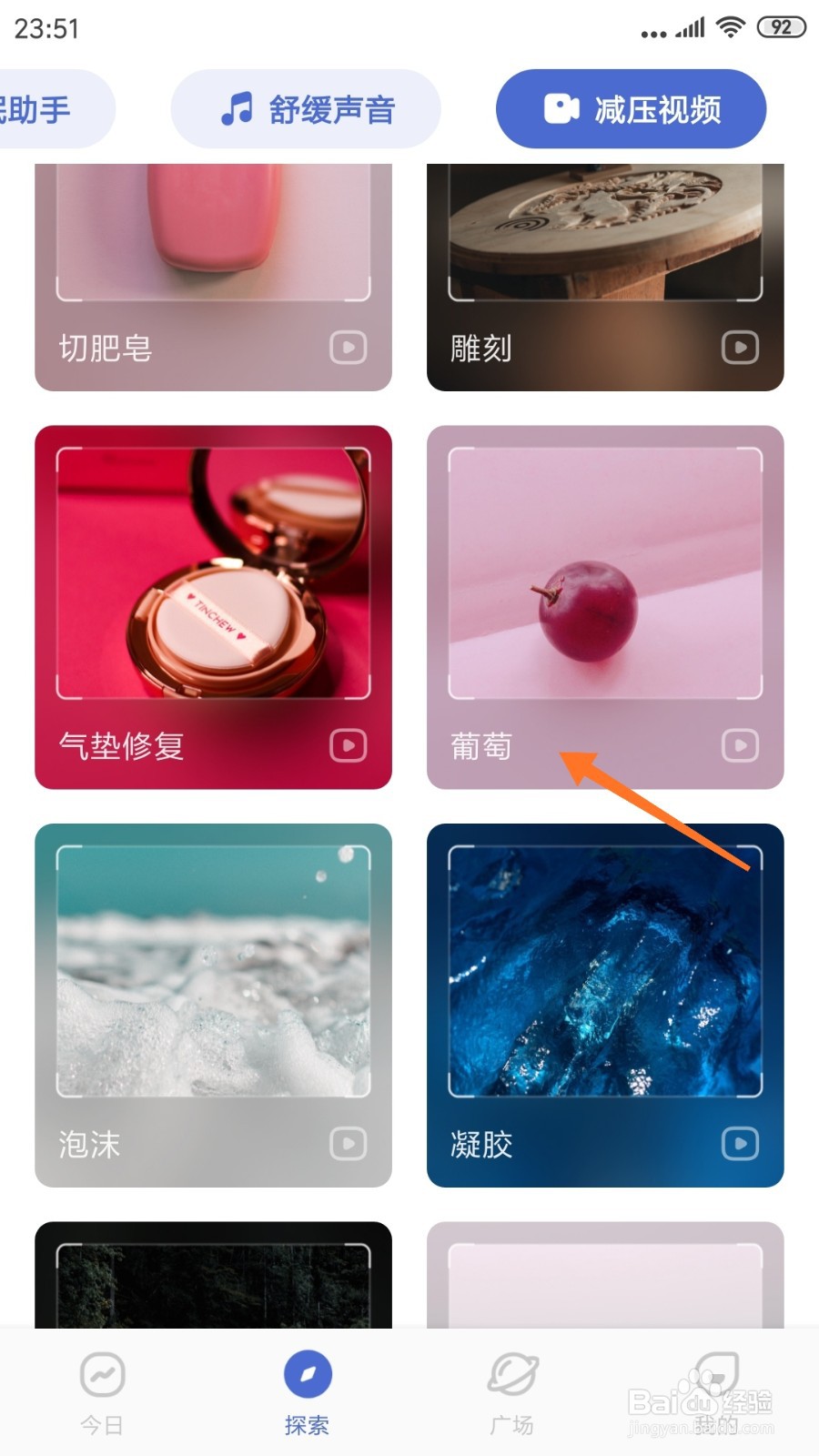 NiceDay中怎么查看葡萄