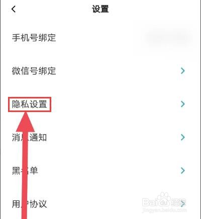 青藤之恋如何开启隐身