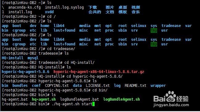 如何在Linux中自定义一条命令
