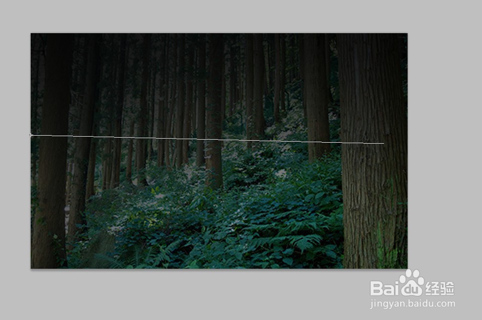 如何用PS图片调整图片颜色进行校色？