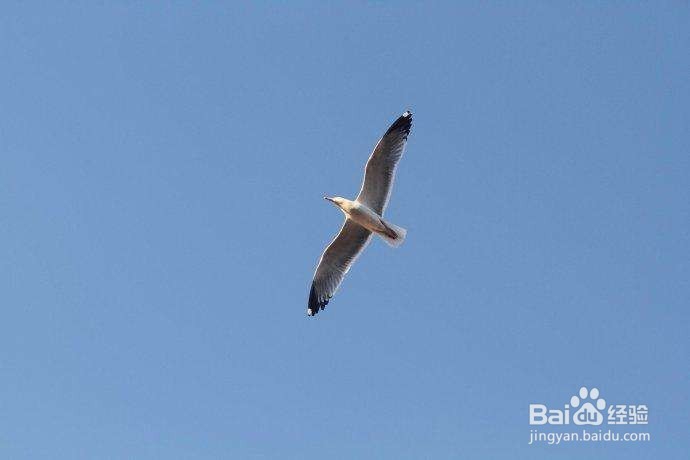 有哪些方便出行的软件?