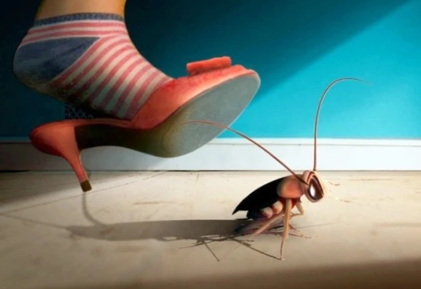 一户有蟑螂是不是一栋楼都有