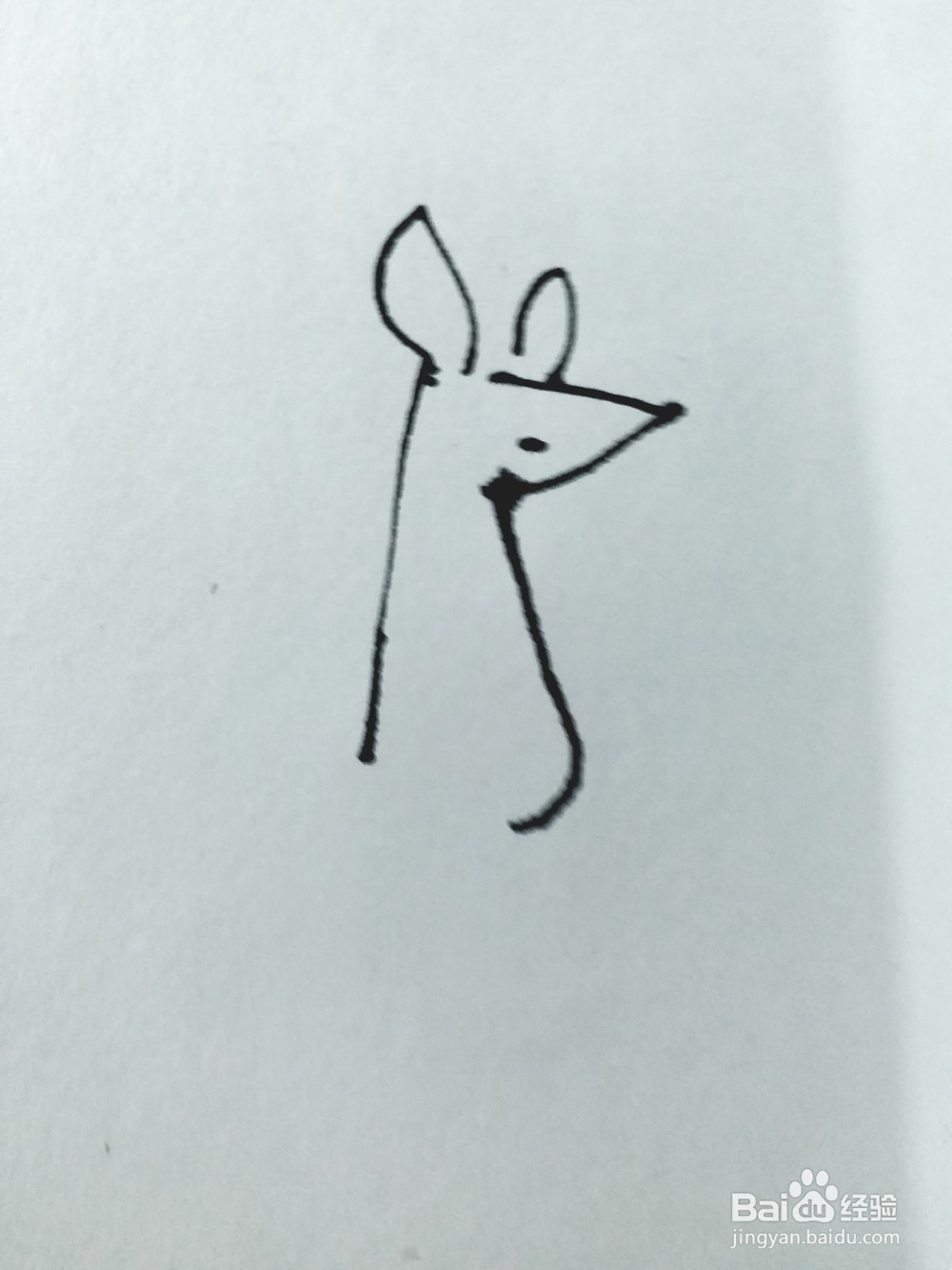 袋鼠的简笔画法（四）