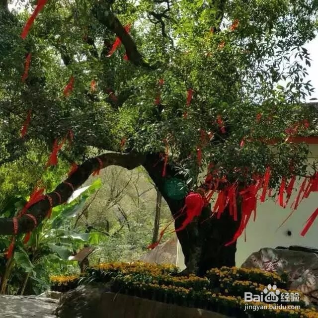 好诗歌的写法
