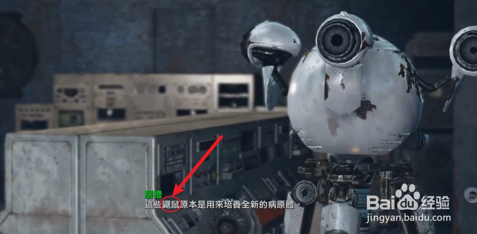 辐射4鼹鼠疾病怎么治#校园分享#