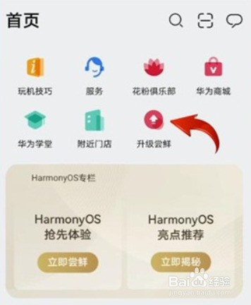 华为mate40e如何升级鸿蒙系统