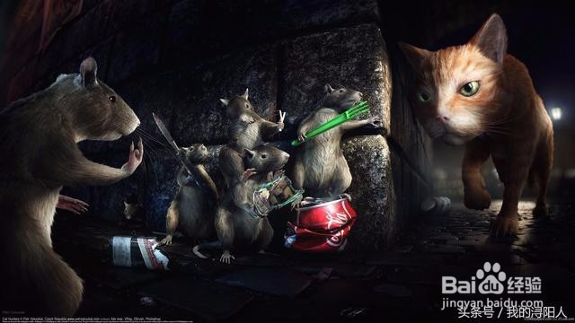 《孩子该怎样教育》之带孩子接触大自然