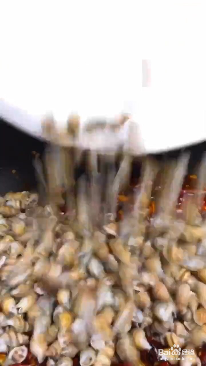 教你制作美食辣炒海螺蛳？