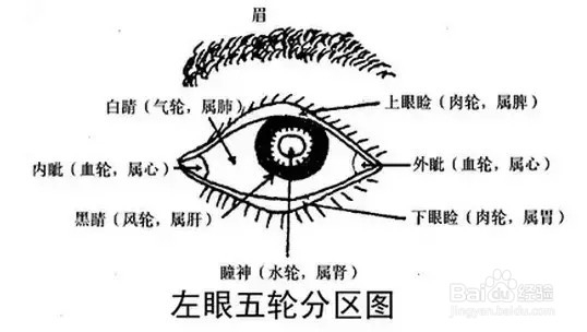 <b>脾虚、肾虚，看你的眼睛就知道咯</b>