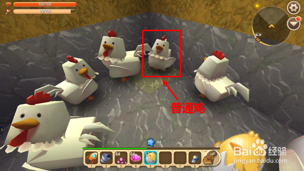 迷你世界飞鸡怎么驯服 迷你世界飞鸡吃什么