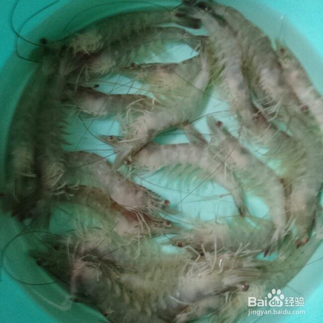 吃货美食-自制蛋黄酱焗明虾！