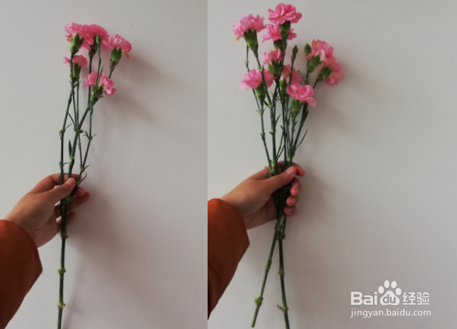 怎样制作漂亮的康乃馨花束