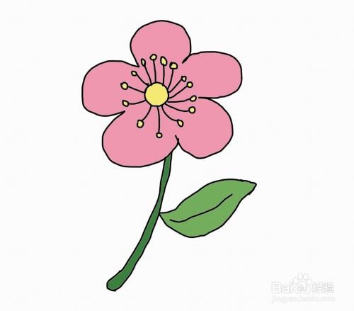 怎么画简笔画花儿?