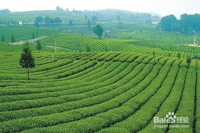 如何预防沙尘暴