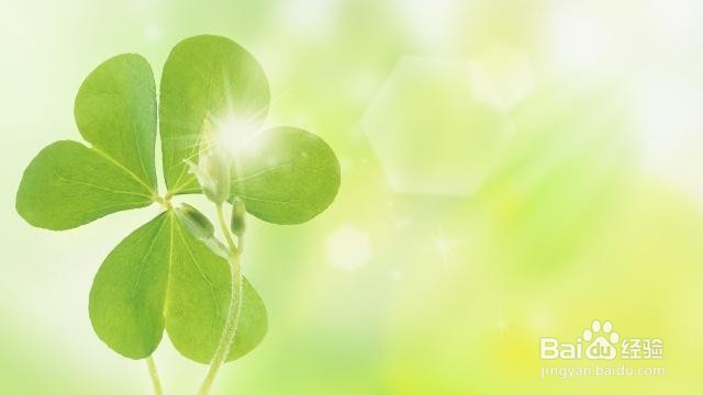 英语书写中应注意的书写中“移行”规则