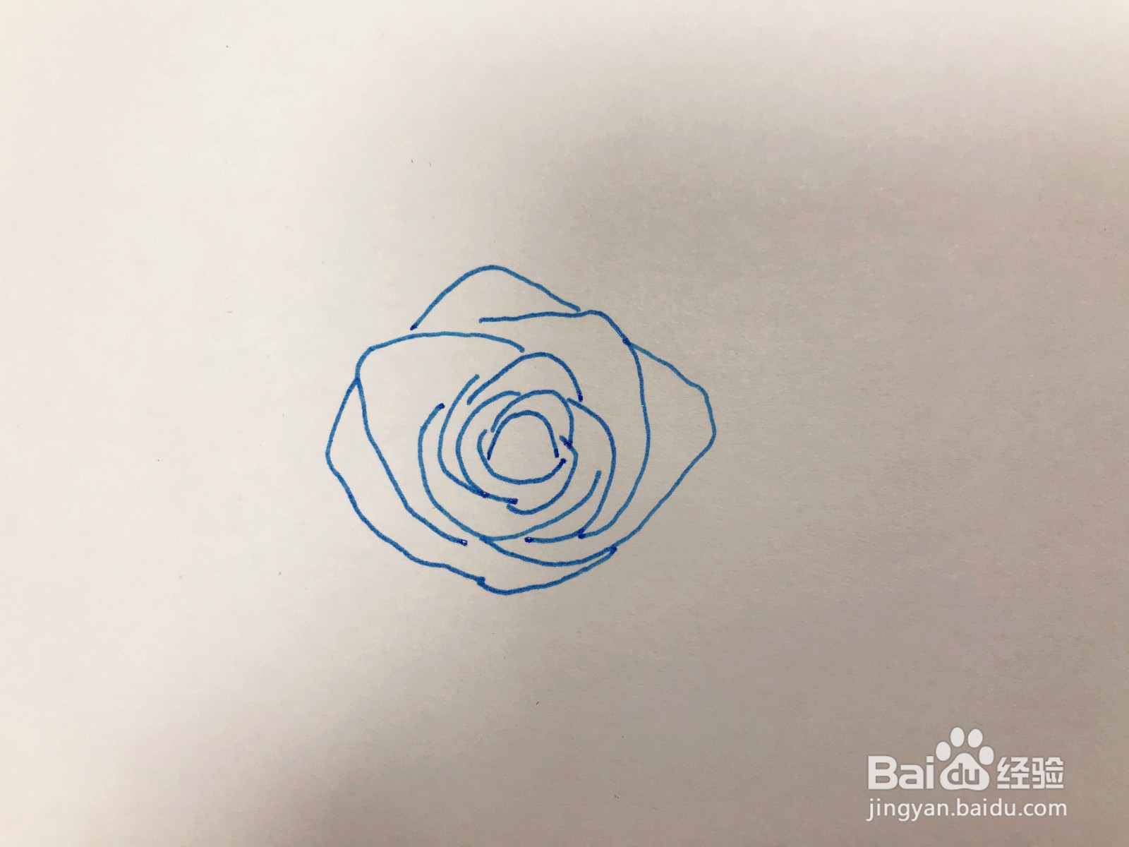 画一个蓝色妖姬花盒