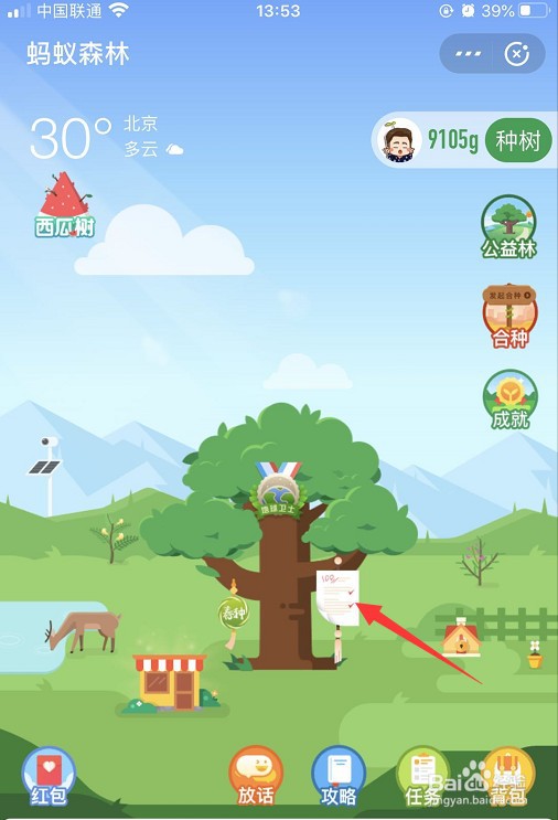 支付宝蚂蚁森林中树上的标签怎么取下来