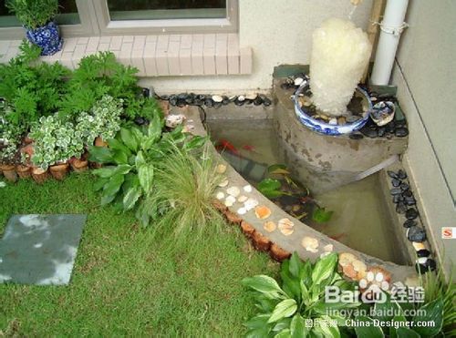 屋顶花园植物品种的选择