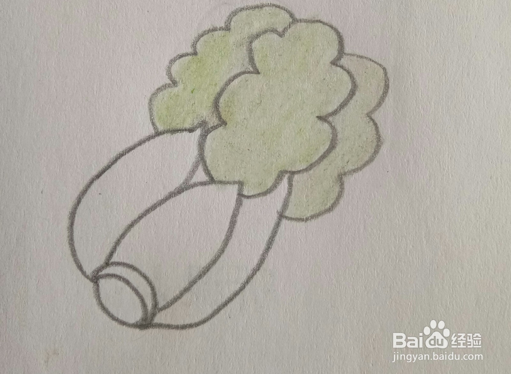 儿童简笔画白菜画法三